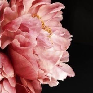 Meet your Posher, Ana